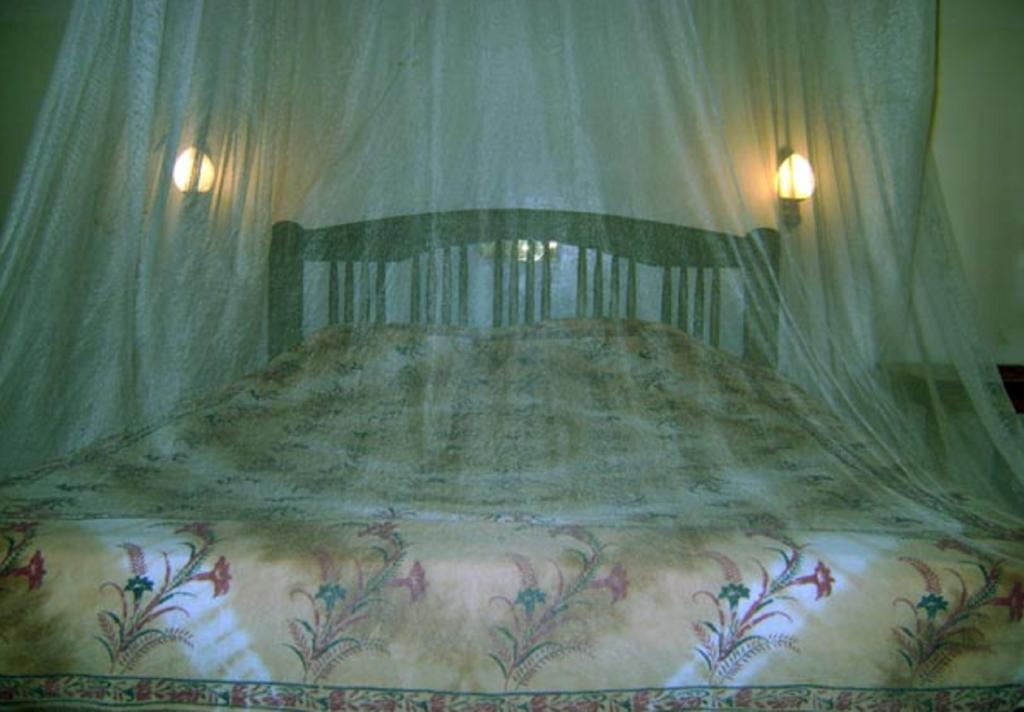 Palm Garden Home Stay Deiyannewela Номер фото